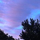 IMG_2070.jpeg