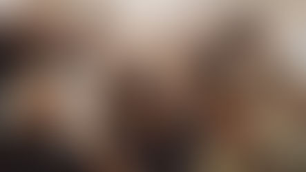 Dicon by Dispatch x Seventeen