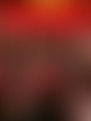 Mcdonald Hongkong x Baby Monster