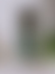 LEBEIGE 2022 S/S FILM