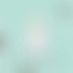 KUS MOTION GRAPHIC FILM
