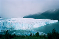 sakura-HP-29 のコピーn.JPG