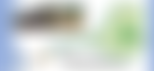 第21回しらかわの日 開催します