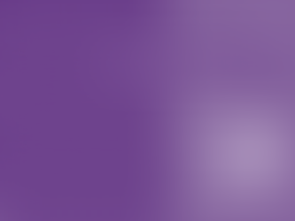 MACROECONOMÍA DEL DESARROLLO