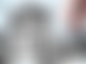 Chile, Politica Fiscal y Empleo, El Programa de Contingencia Contra el Desempleo.