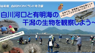 白川わくわくランド寺子屋 白川河口と有明海の干潟の生物を観察しよう