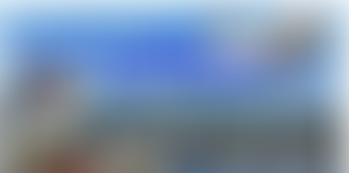 白川わくわくランド寺子屋 白川河口と有明海の干潟の生物を観察しよう