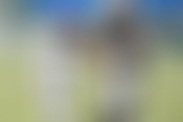 横山ドリームス５周年記念大会
