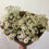 Thumbnail: Feverfew Bunch