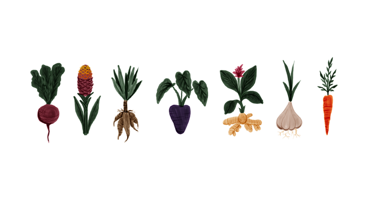 veggies transparent.png