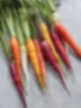 carrots.webp