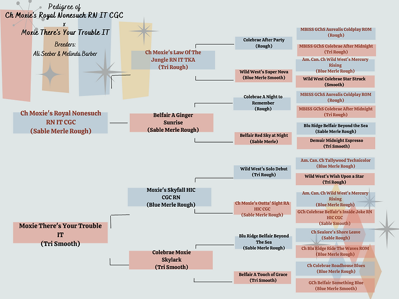 Copy of Copy of Beige Modern Business Organization Chart Graph (2).png