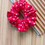 Thumbnail: Bright Red  Polka Dot Scrunchie