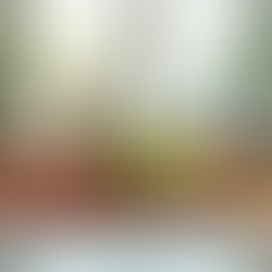 Meet Marcela: A Nutritionist Dedicated to Your Wellness