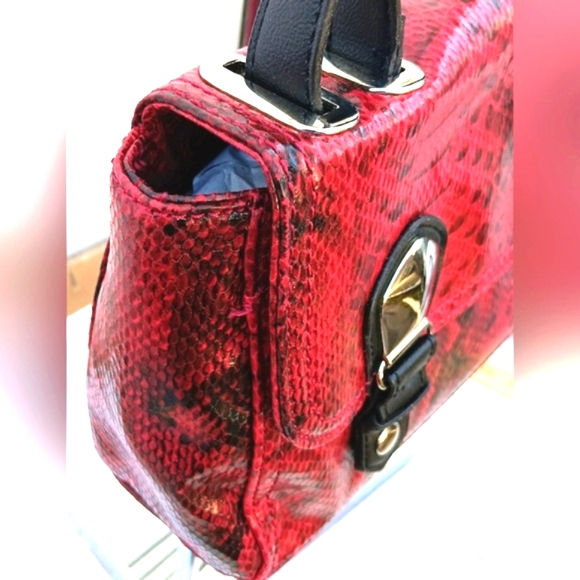 Thumbnail: The Devil's Favorite Pet Pocketbook