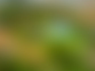 A Live Case Study of Resort-