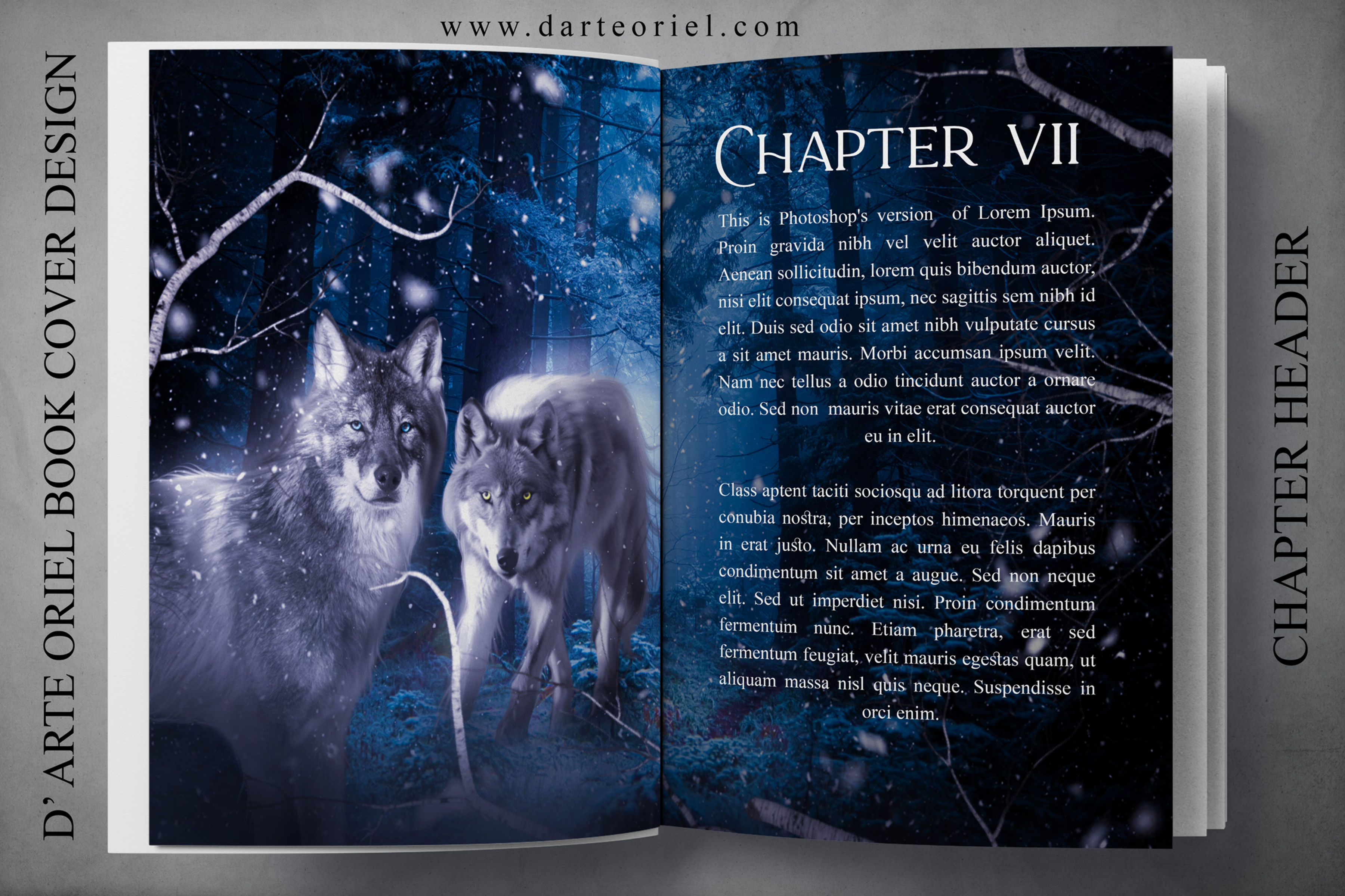 INTERIOR ART 078