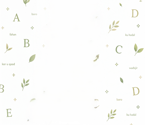 Gemini_Generated_Image_2v9sqf2v9sqf2v9s.png