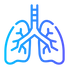 lungs (1).png