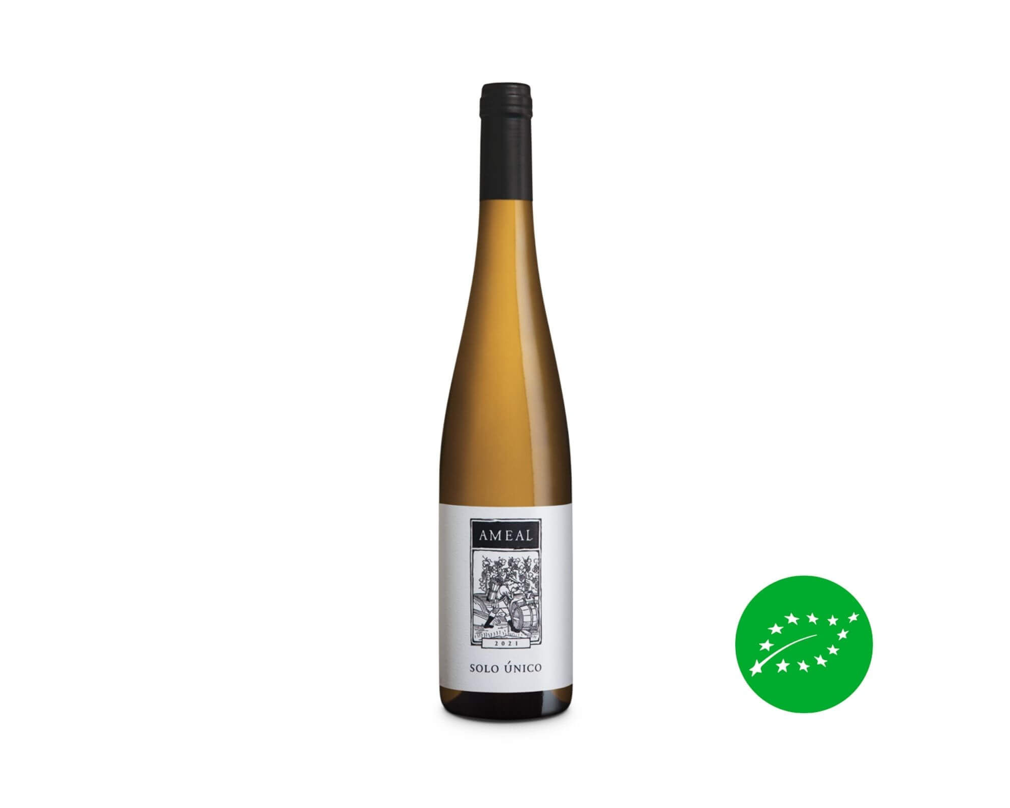 Quinta do Ameal - Solo Único