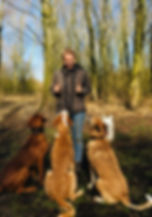 IMG_8152.jpeg