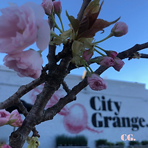 Logo, City Grange Logo, Logo Design, Branding, Brand Identity, Graphic Design, Tagline, Copywriting, Brand Narrative, Key Messaging, Marketing, Branding, Digital Design, Digital Advertising, Social Media Marketing, Social Media