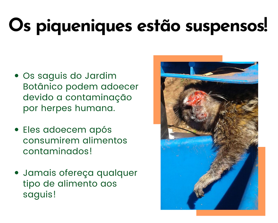 LEMBRETE (1).png