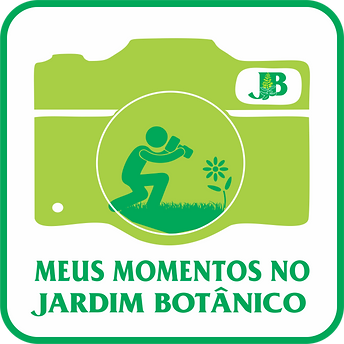 logo meus momentos.png