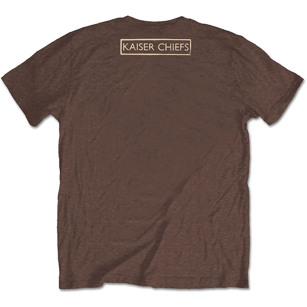 Kaiser Chiefs Everything Is Brilliant T-Shirt Back