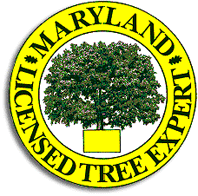 licensed tree expert  badge.gif