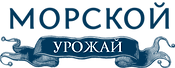 image6_edited.png