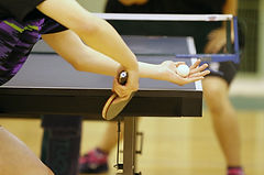 5130259_m.jpg