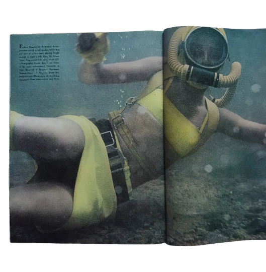 Thumbnail: Harper's Bazaar, May 1966.