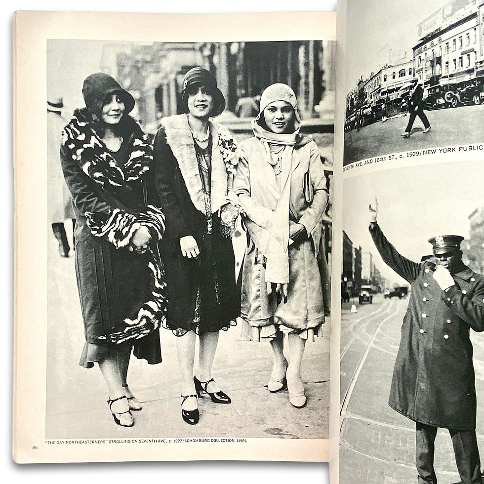 Thumbnail: Harlem On My Mind: Cultural Capital Of Black America, 1900-1968. Published 1969.