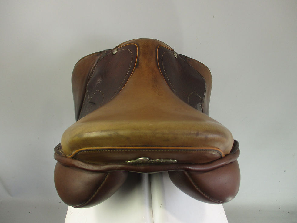 Thumbnail: Pessoa Gen X Jump Saddle 17"