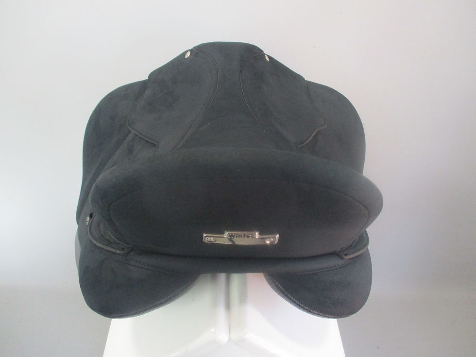 Thumbnail: Wintec Isabell Dressage Saddle 18"