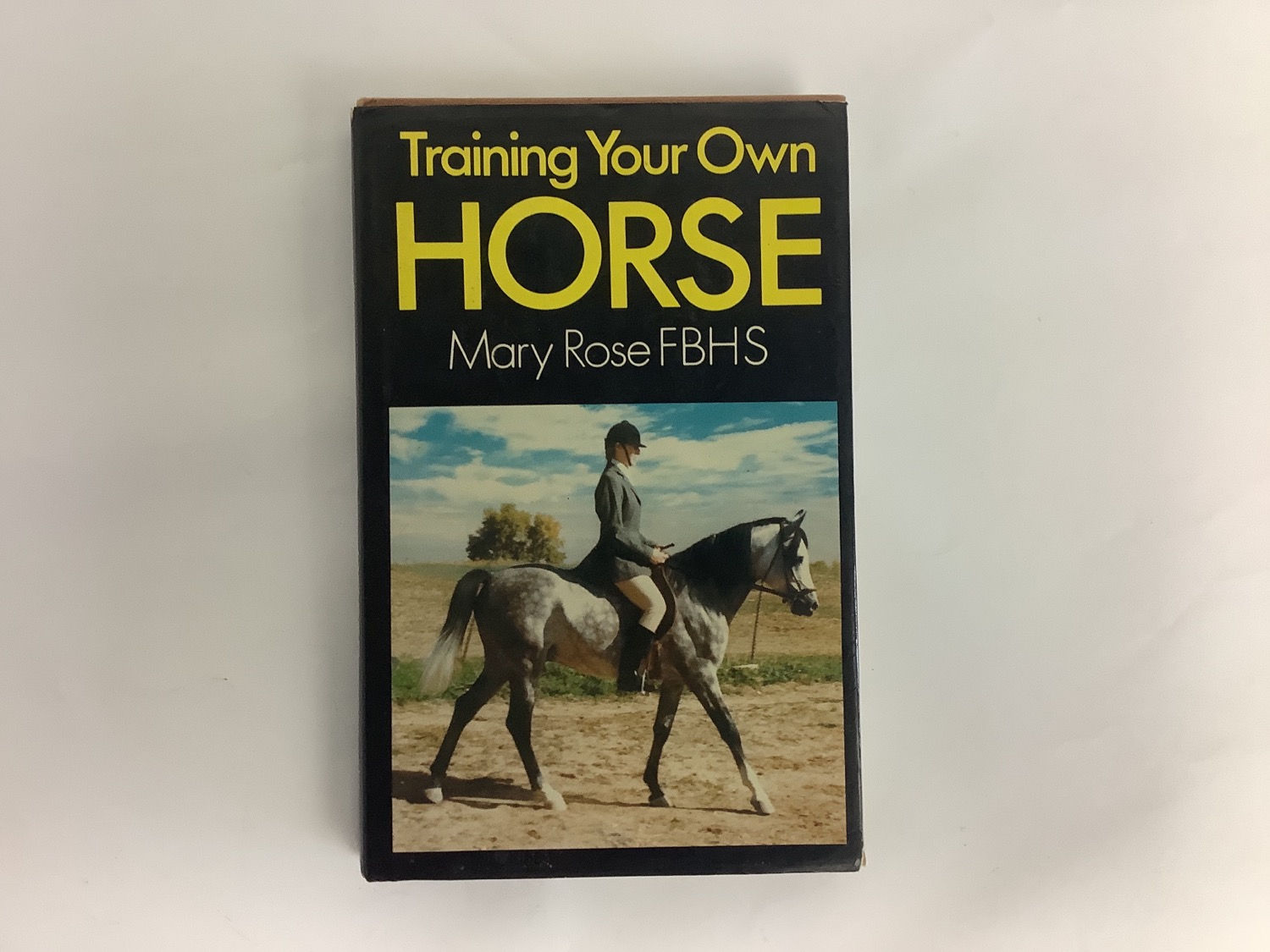 Training Your Horse