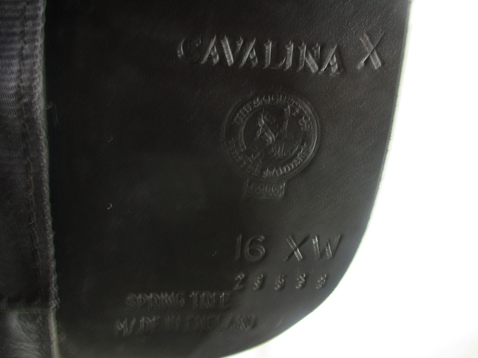 Thumbnail: Black Country Cavalina Pony Dressage Saddle 16" XW