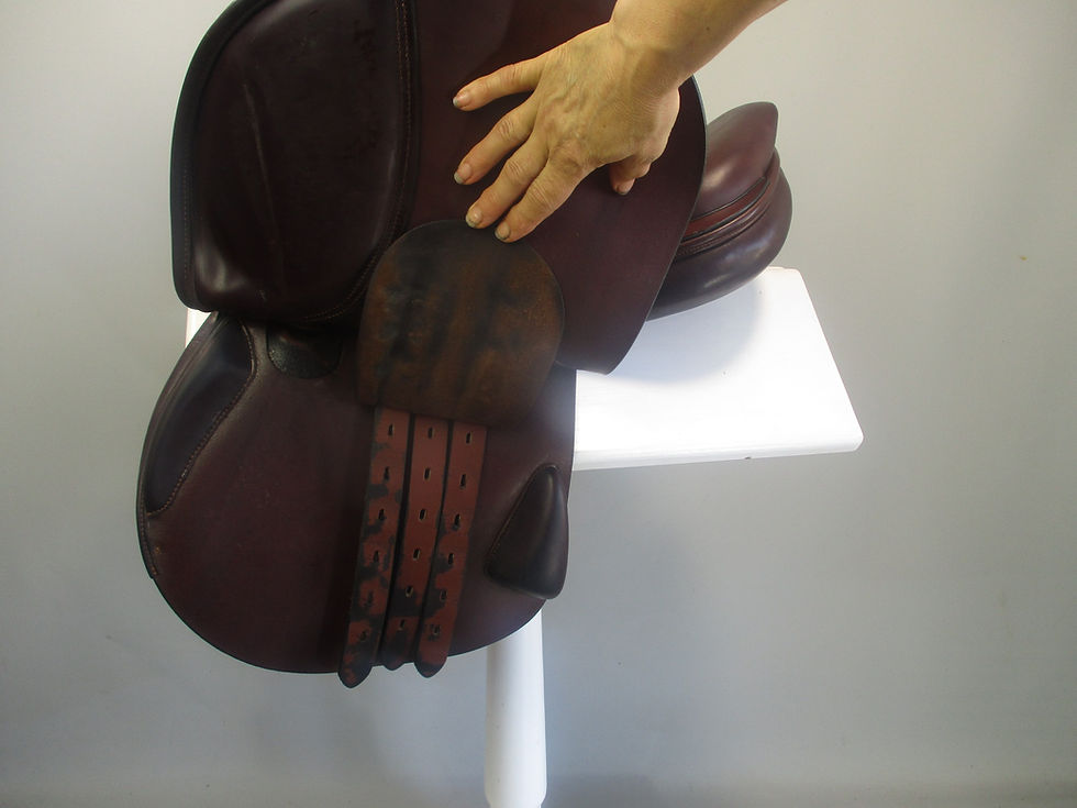 Thumbnail: Amerigo Vega Jump Saddle 17" MW-W