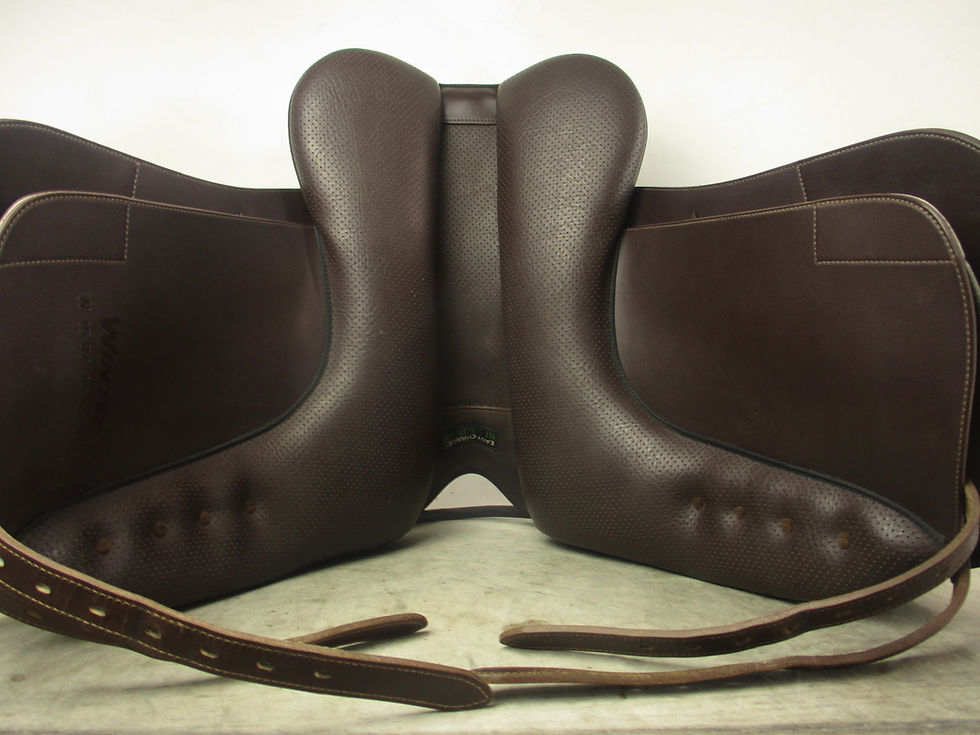 Thumbnail: Wintec Isabell Dressage Saddle 16.5"