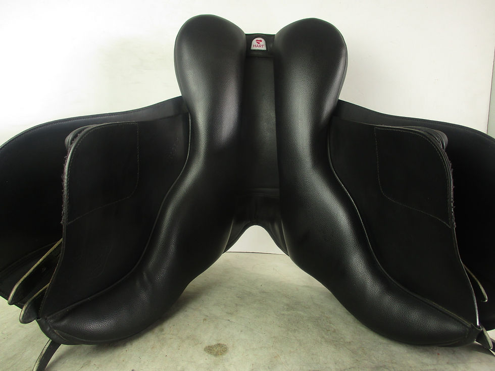 Thumbnail: Arena All Purpose Saddle 16.5"