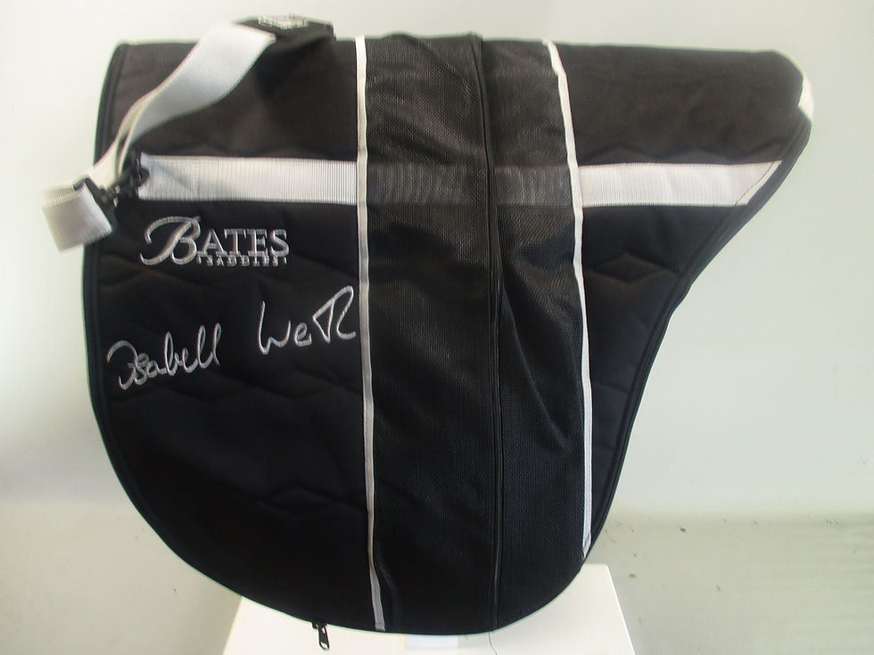 Thumbnail: Bates Luxe Isabell Icon Dressage Saddle 16.5"