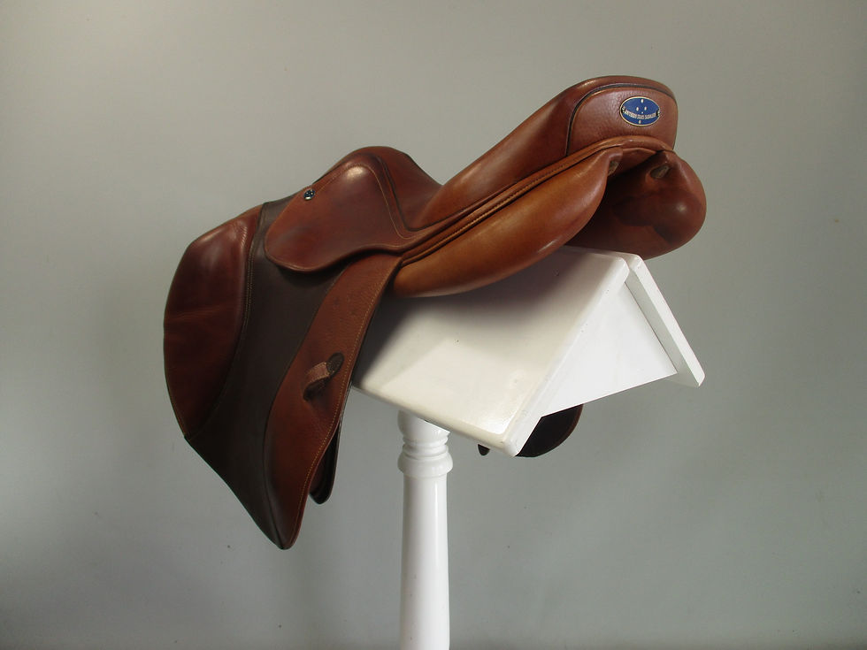 Thumbnail: Southern Stars Jump Saddle 17" M