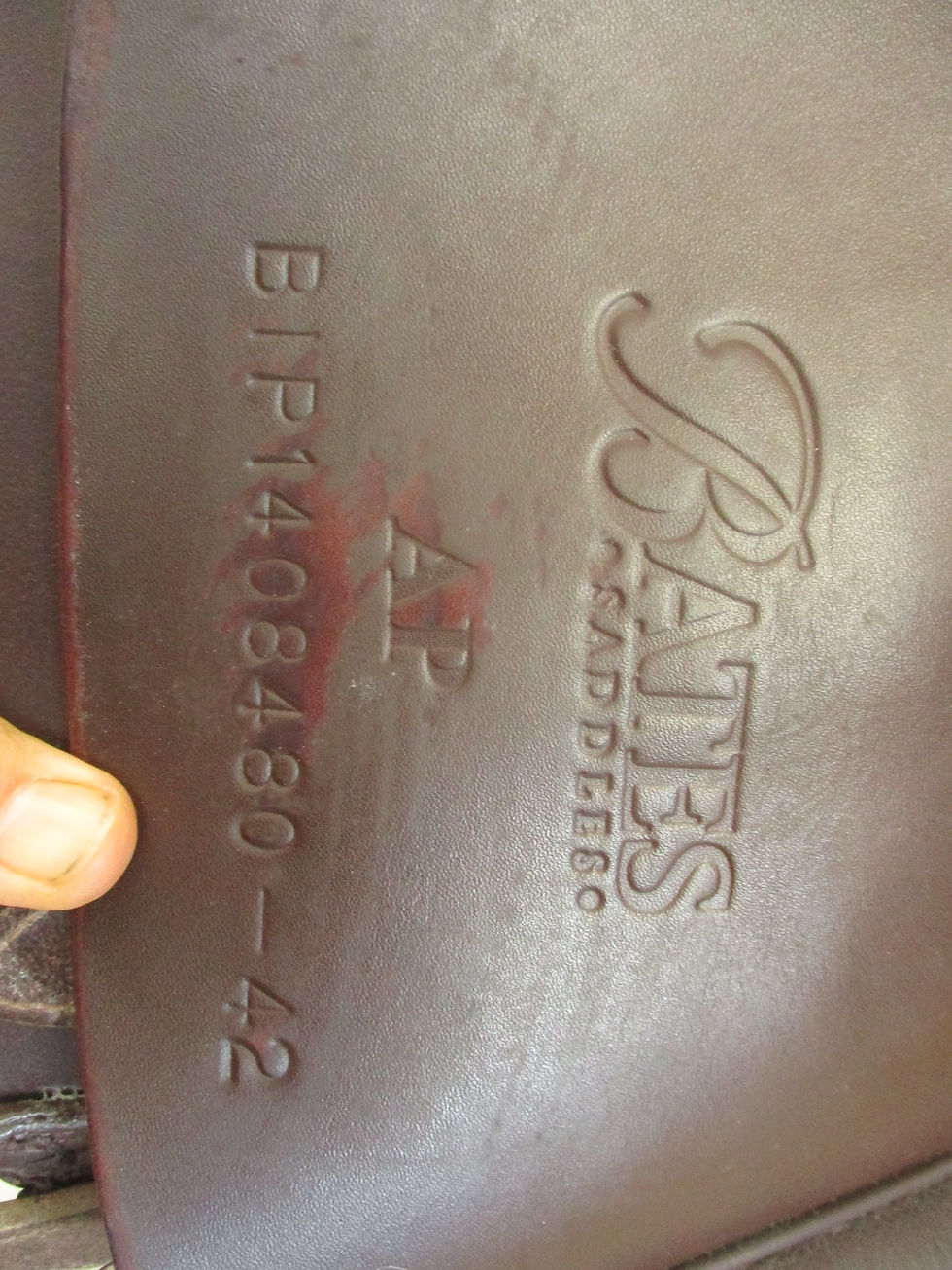 Thumbnail: Bates All Purpose Saddle 16.5" *FLOCK*
