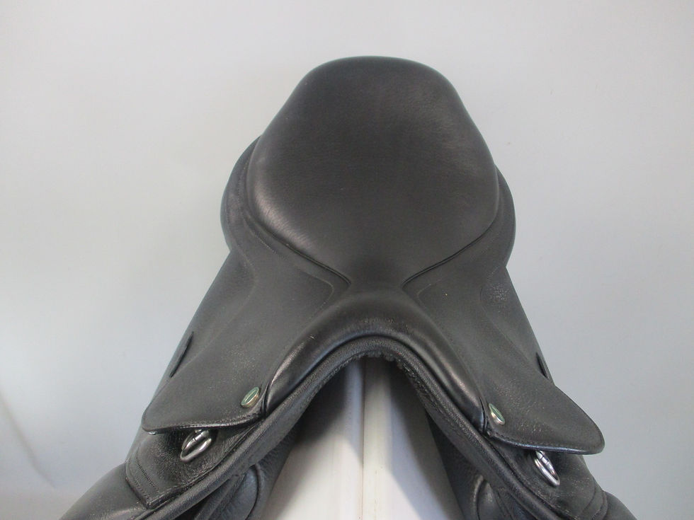 Thumbnail: Arena Jump Saddle 17"