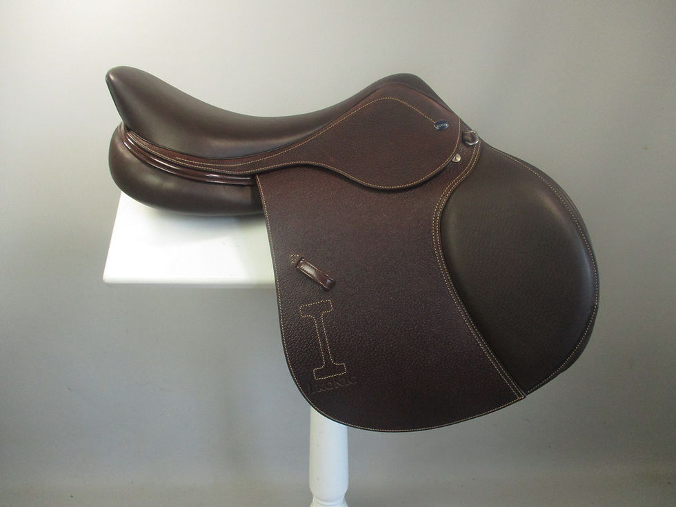 Thumbnail: Ikonic Evolution Jump Saddle 17"