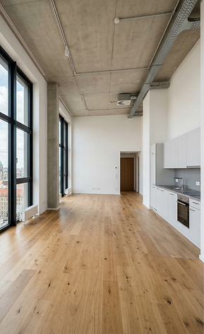 freepik__a-new-apartment-in-berlin-mitte-without-furniture__58738_edited.png