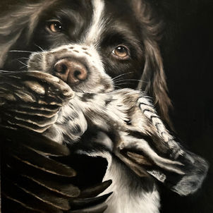Catriona Fraser Art Gundog Springer Spaniel Dog Painting