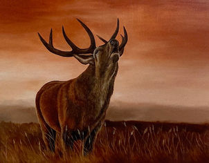 Catriona Fraser Art Stag Painting
