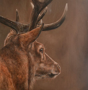 Catriona Fraser Art Deer Stag Painting Red Deer
